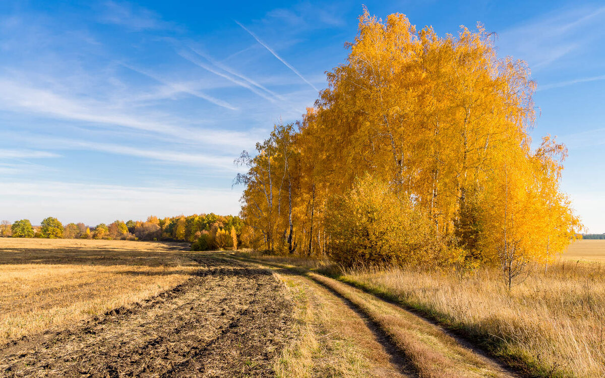 Бабье лето – что это, когда наступает, сколько длится, почему так  называется, | SHARAUT: Что это такое? | Дзен