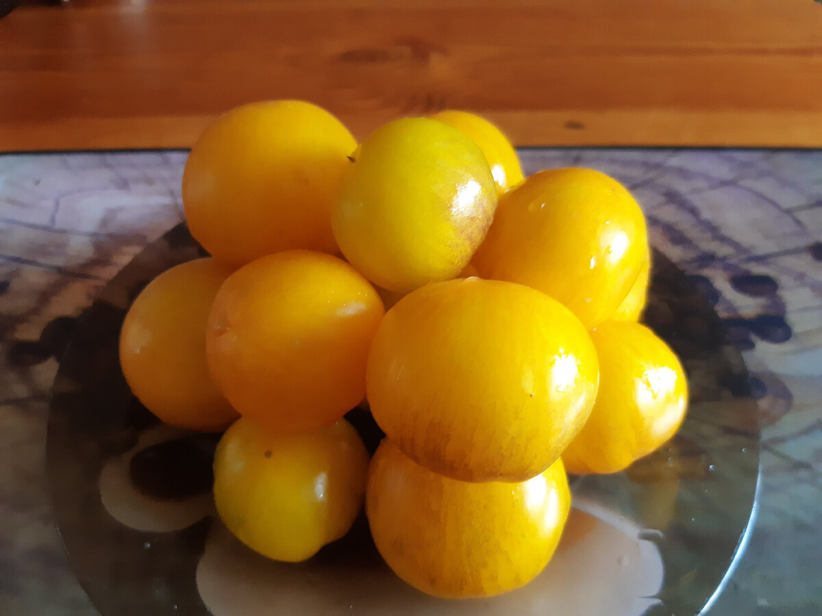 Томат сорта "Основные цвета"