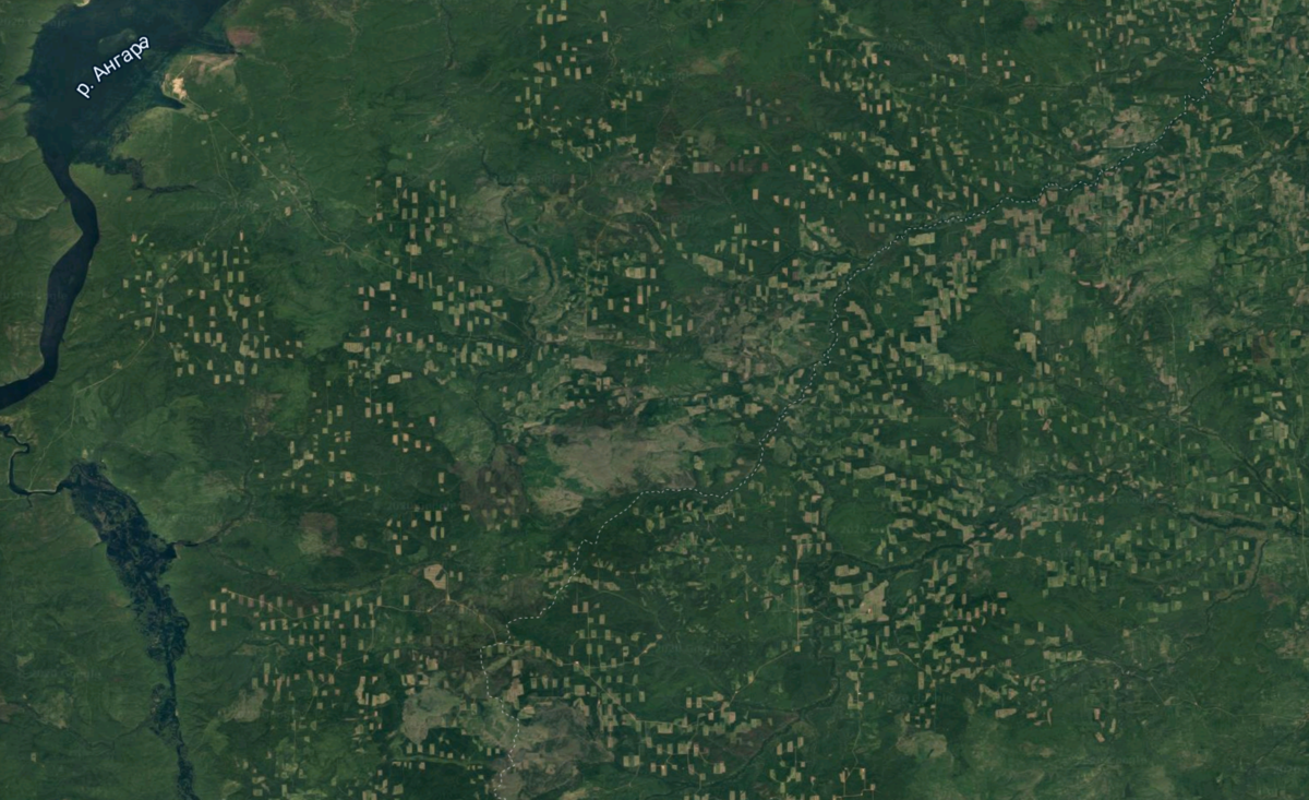 Яндекс картинки. Каждый маленький квадратик соответствует нескольким гектарам выпиленного леса.