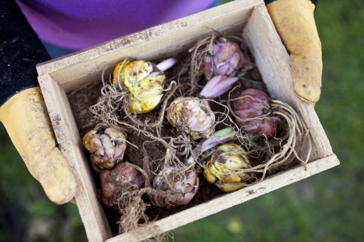 Подготовка к наступающим холодам