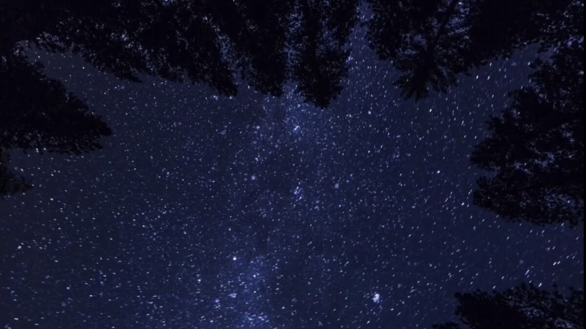 #летняя ночь #звуки природы 