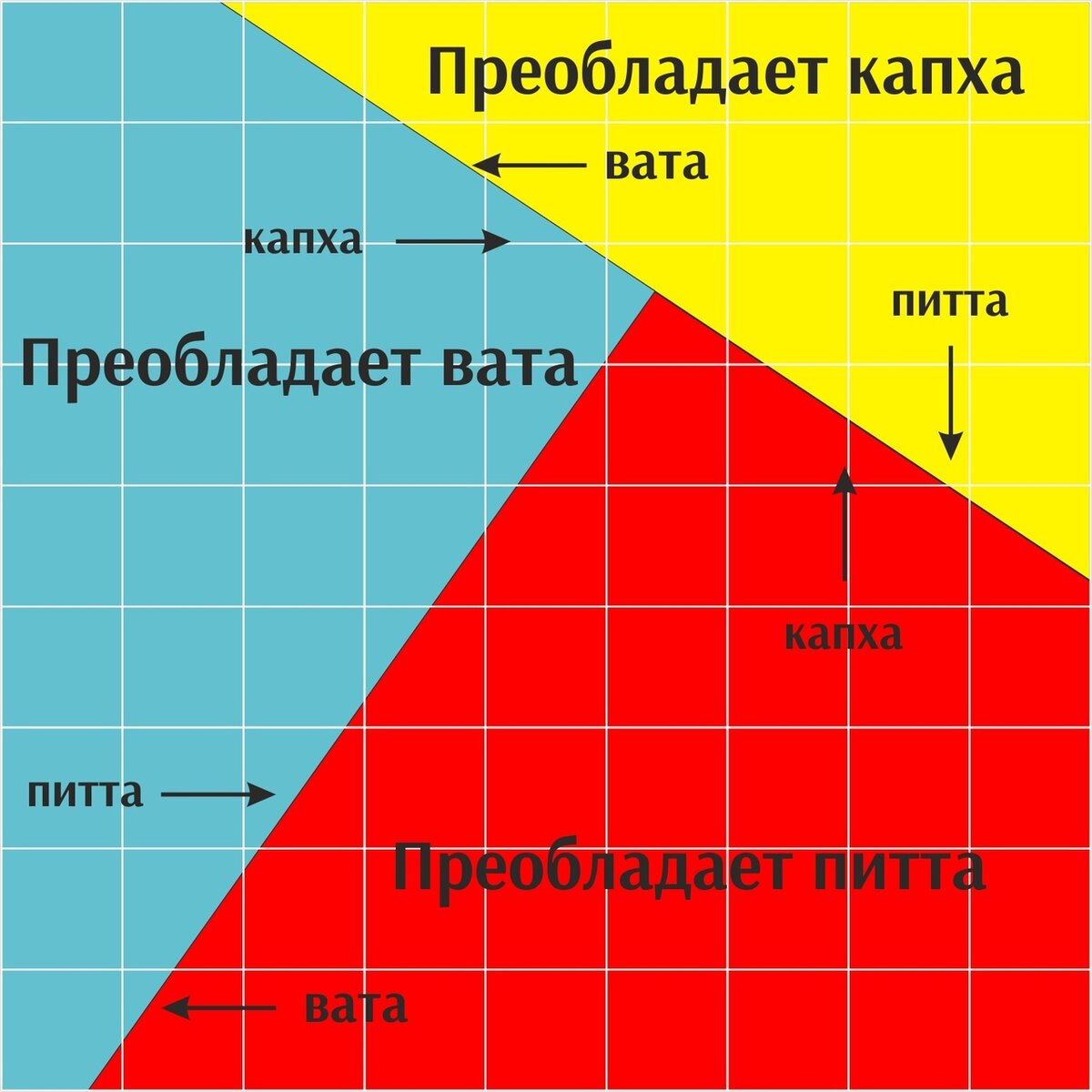 ВАСТУ И АЮРВЕДА | AMRUTA.RU | Дзен