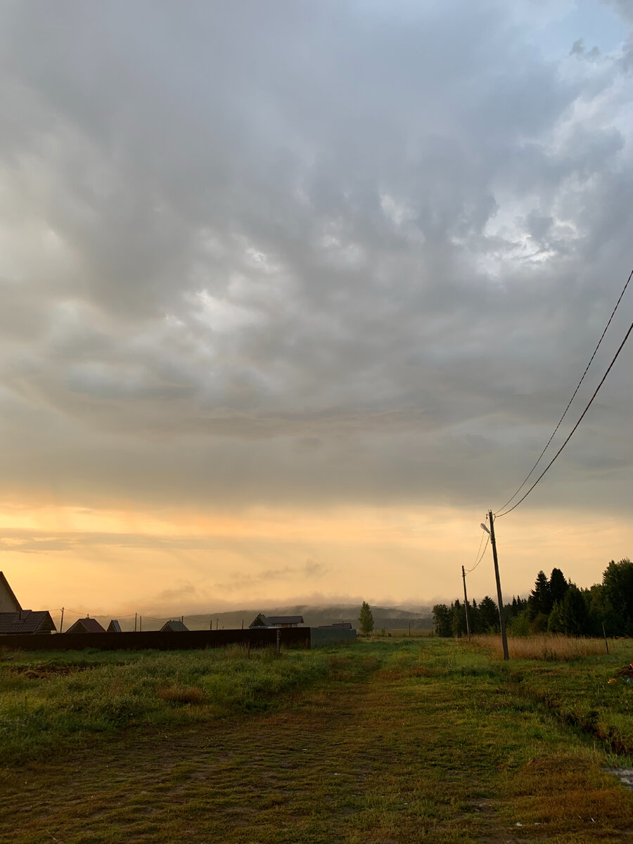 доброе утро день