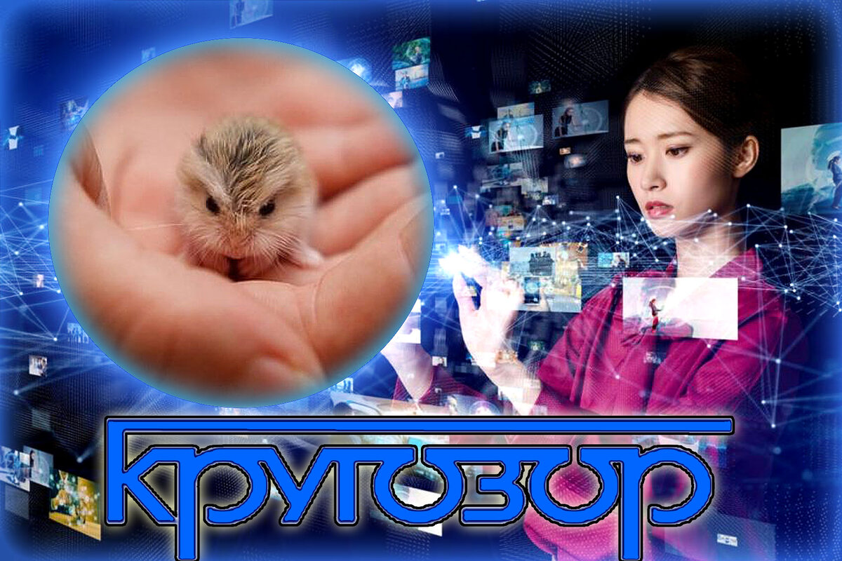 Авторский коллаж - тест для истинных эрудитов и знатоков