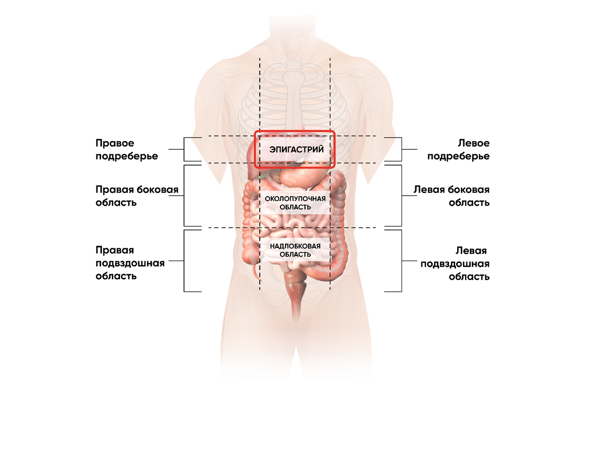Эпигастрий