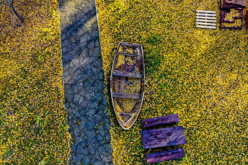 Если отъехать от Нижнего Новгорода километров так 150, то попадешь в совершенно другой мир. Где нет промышленности, суеты, выхлопных газов. Тут реки и озера, чистый воздух, вкусная колбаса, и свежайшие ягоды. Но этом для тех, у кого есть домик в деревне. Впрочем, и от древни люди устают и лучший отдых тогда это поездка на турбазу в Трифакино. С одной стороны от нее протекает старинная река Ветлуга, по другую стоит почти дремучий лес. Хочешь рыбу лови, хочешь – грибы собирай. Не хочешь – иди спортом займись, в бассейне поплавай, или на тренажерах. Не хочешь? Пойди в столовую поешь. Кормят тут кстати, как на убой. При моей ненависти к кашам здесь я съедаю все. На дворе осень, а значит надо как можно скорее валить за город, и ловить последние солнечные денечки.