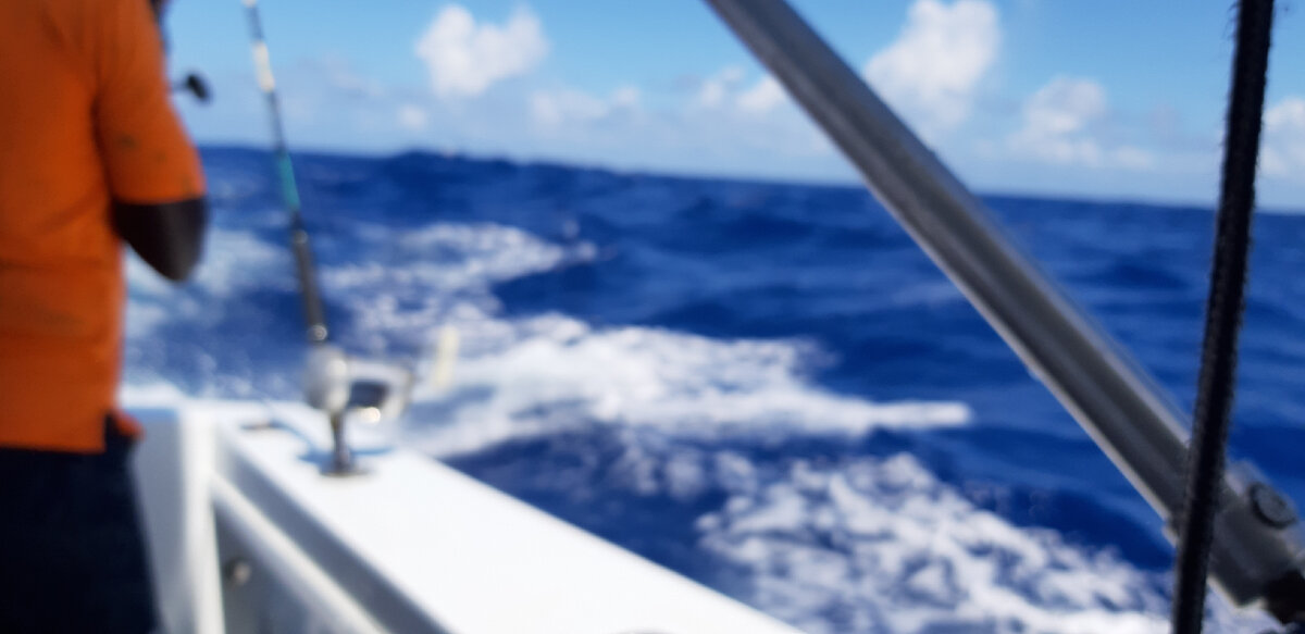 Берега не видно, мамочки!