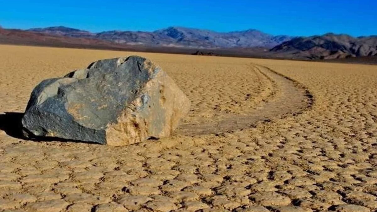  При этом они создают длинные борозды на дне высохшего озера.