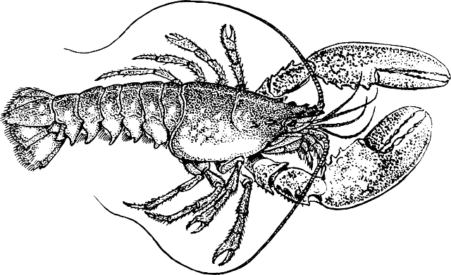 Изображение OpenClipart-Vectors с сайта Pixabay 