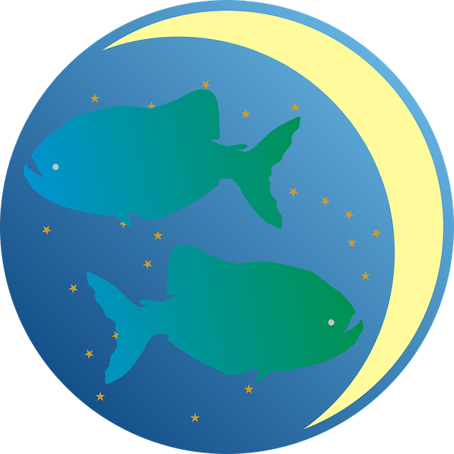 Изображение 13smok с сайта Pixabay 