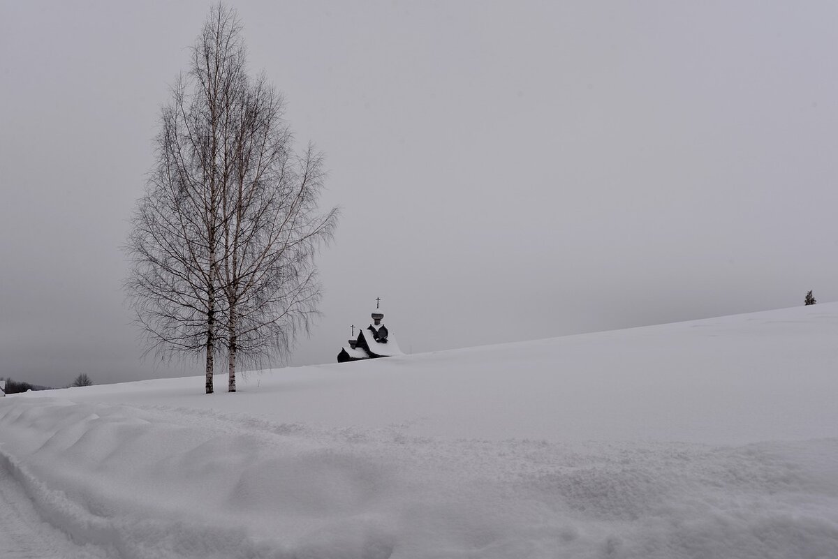 В этот день молились святому об исцелении болезней глаз и снятии пелены, чтобы понять, кто лжет, а кто говорит правду. Фото: Pixabay.com 