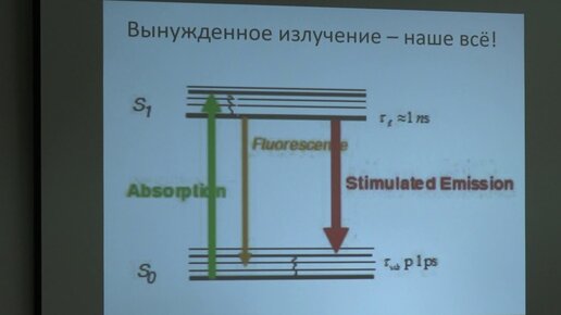 Нечипуренко Д. Ю. - Экспериментальные методы в биофизике - Микроскопия суперразрешения