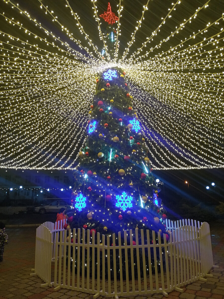 Елка в Межводном. Крым