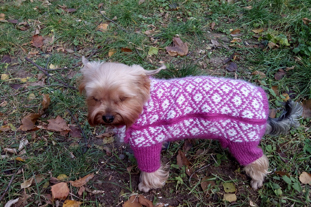 Ну и красотка и комбезик с другой стороны.