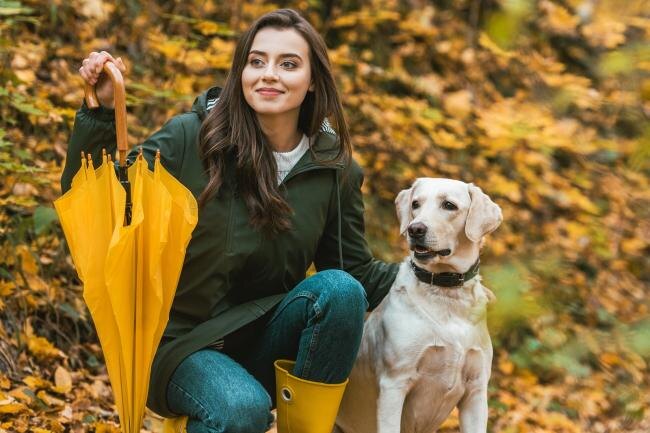 У человека с питомцем образуется эмоциональная связь. Ссылка на фото https://goo.su/a8fL.