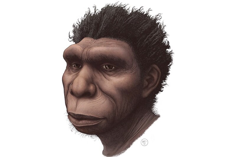 Реконструкция Homo bodoensis.