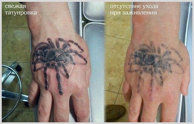 Как заживает татуировка, этапы заживления тату по дням - paraskevat.ru