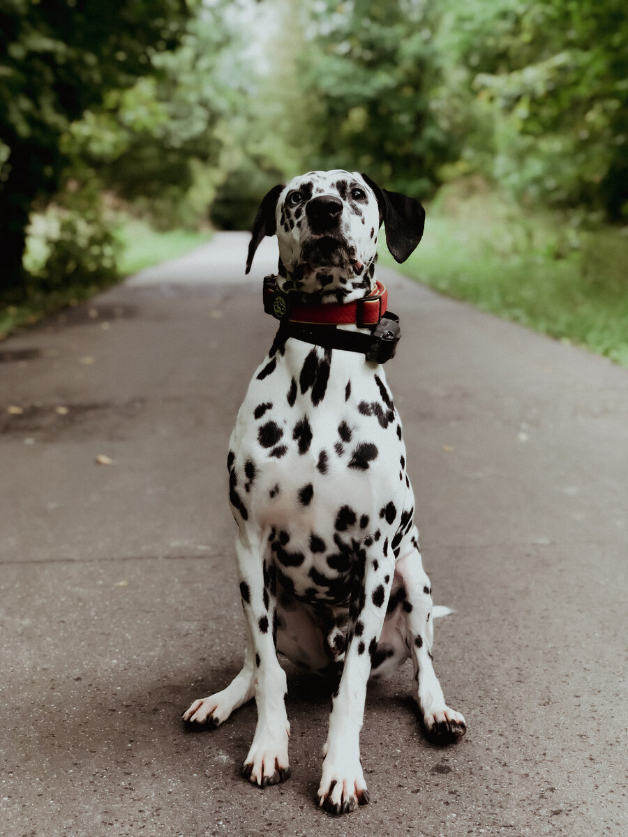 Снято на iphone x