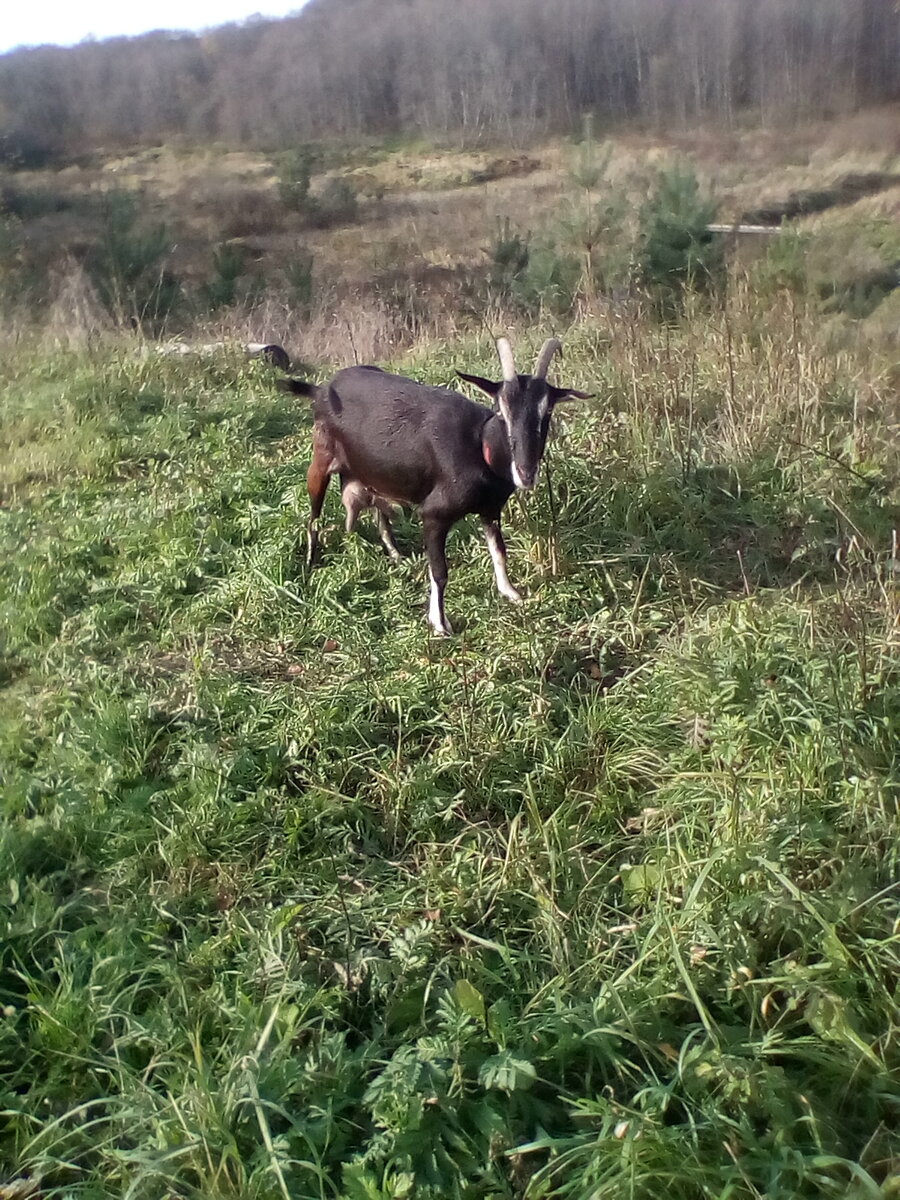 Фото автора. 