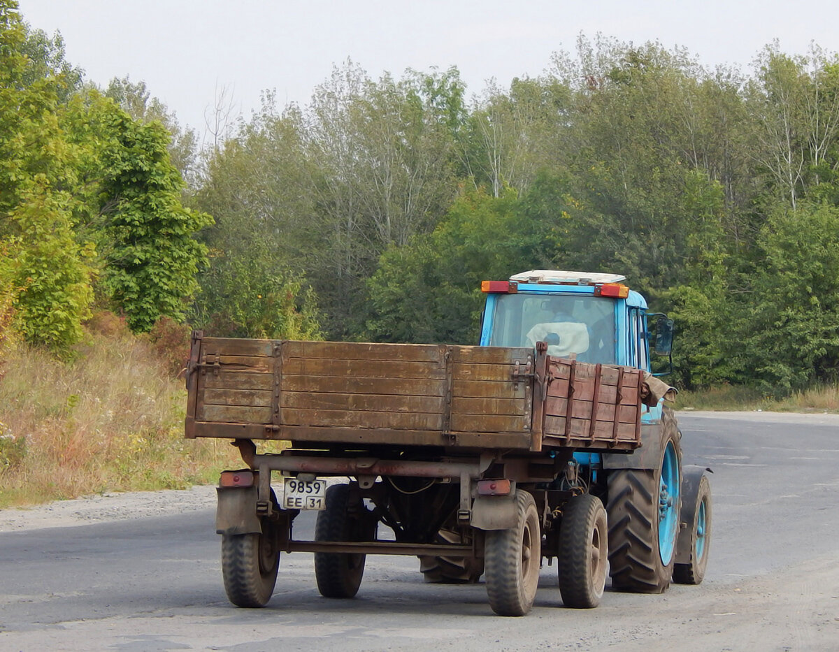 Фото из интернета