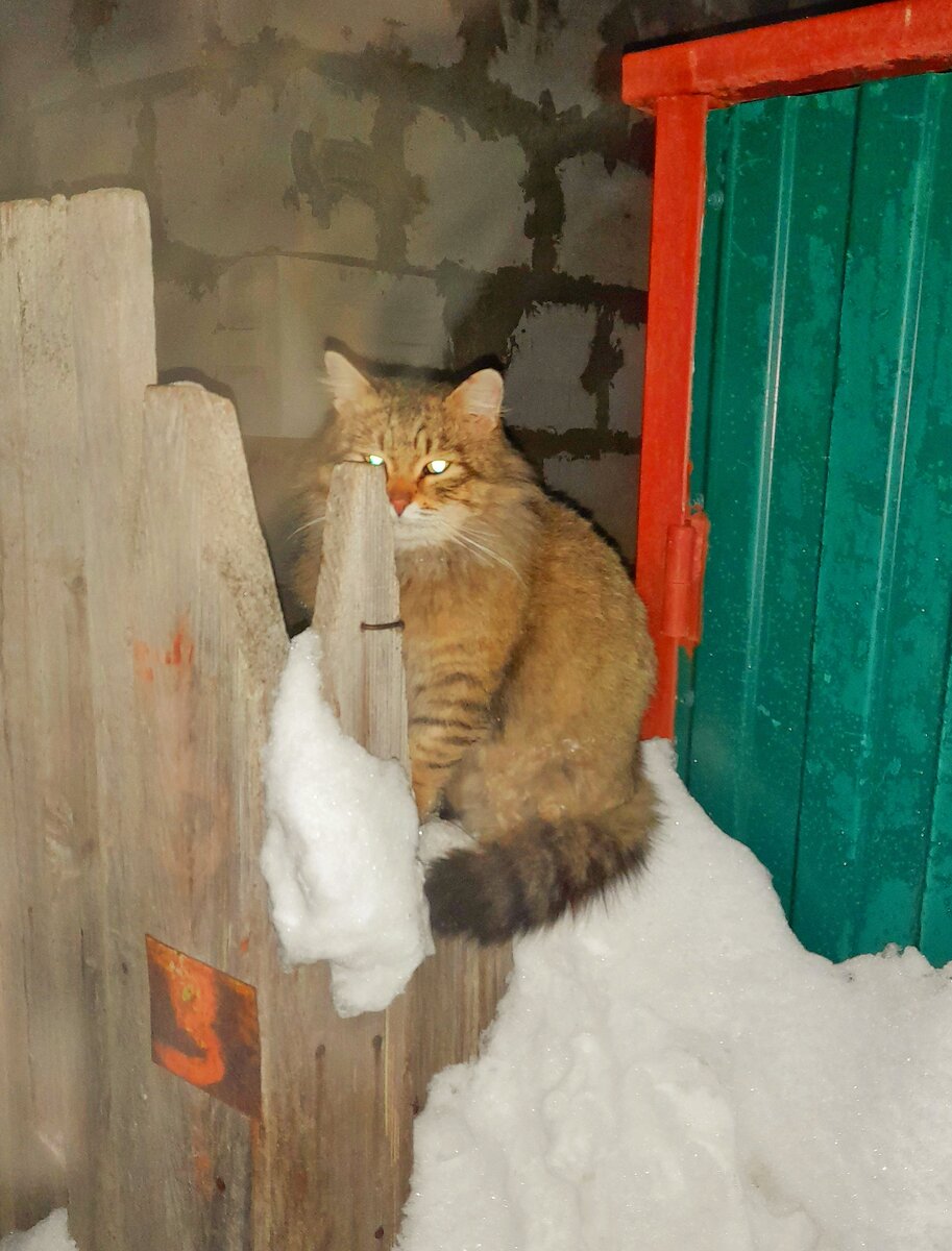 Намылился уже