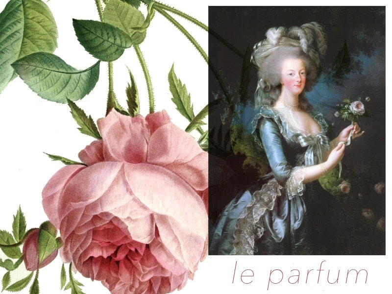 Парфюмер Жан Луи Фаржон создал духи на основе специально для королевы. 