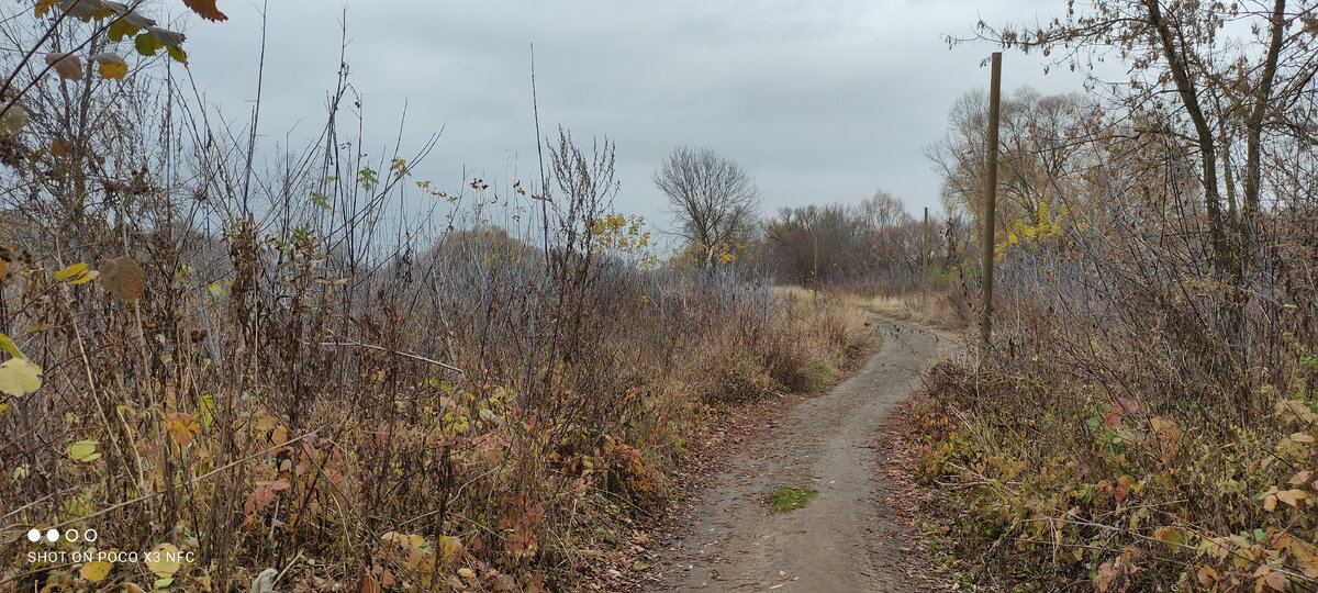 Фото сделано осенью 2020 года