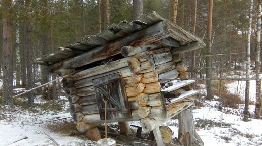 Лесные избушки в Архангельской области