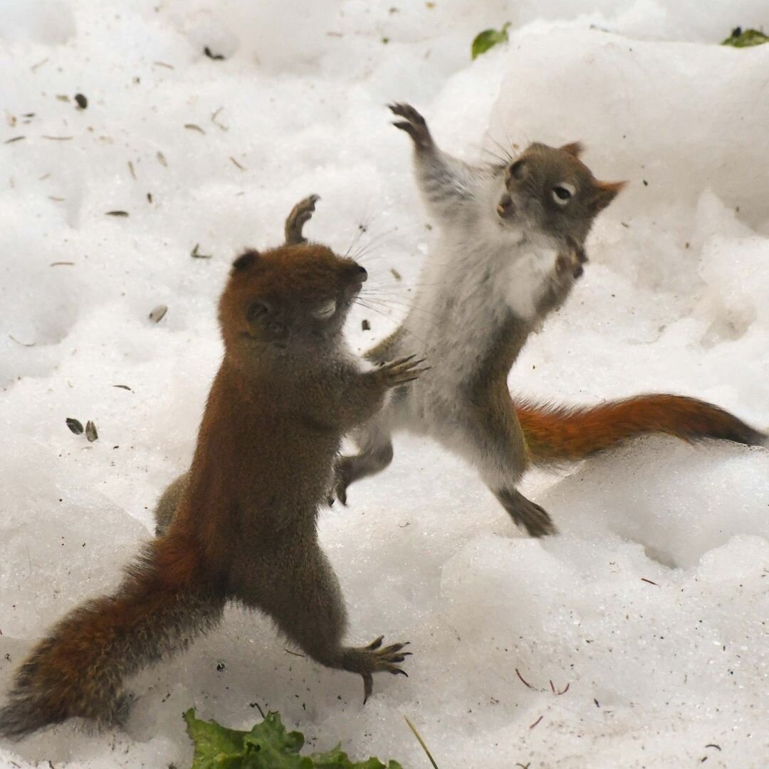 Фото: Paula Badour