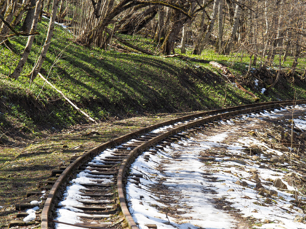 Полотно дороги вдоль Гуамского ущелья. Зеленый ковер черемши
