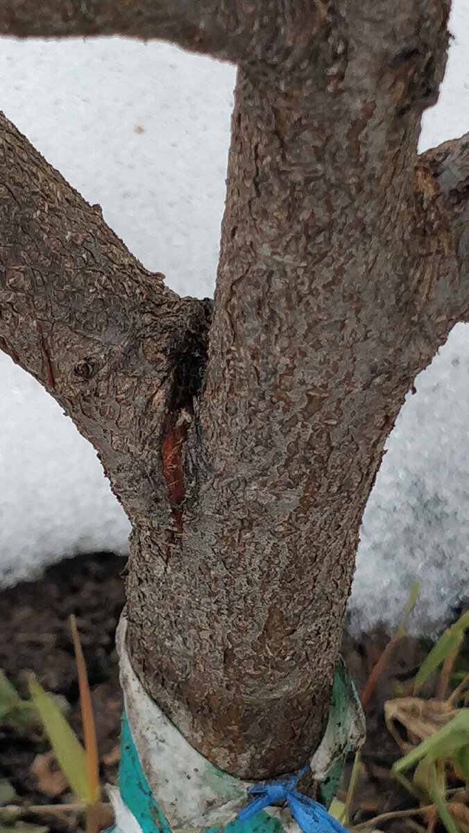 Такая рана тоже лечиться. Она легко затягивается.