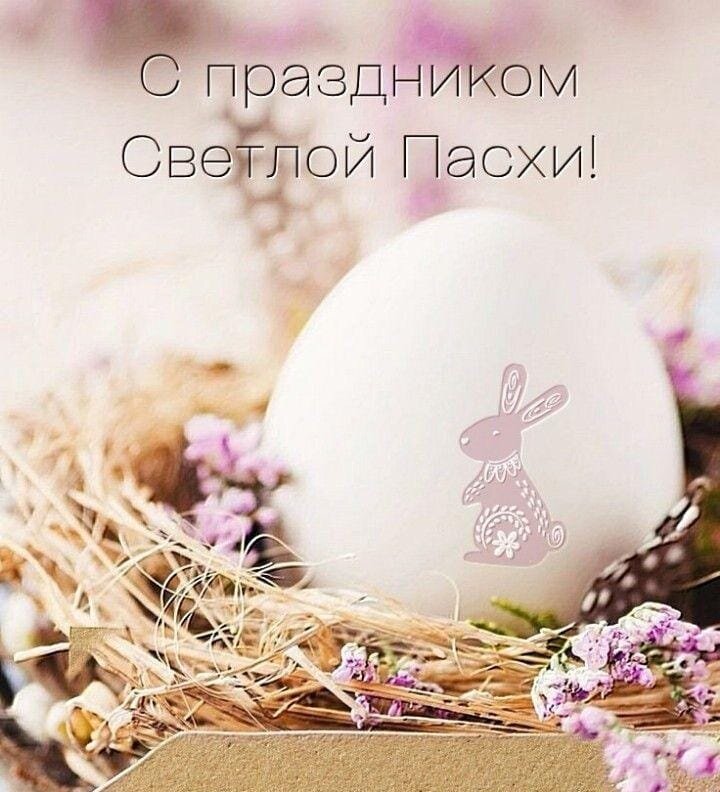 Фото из открытого источника 