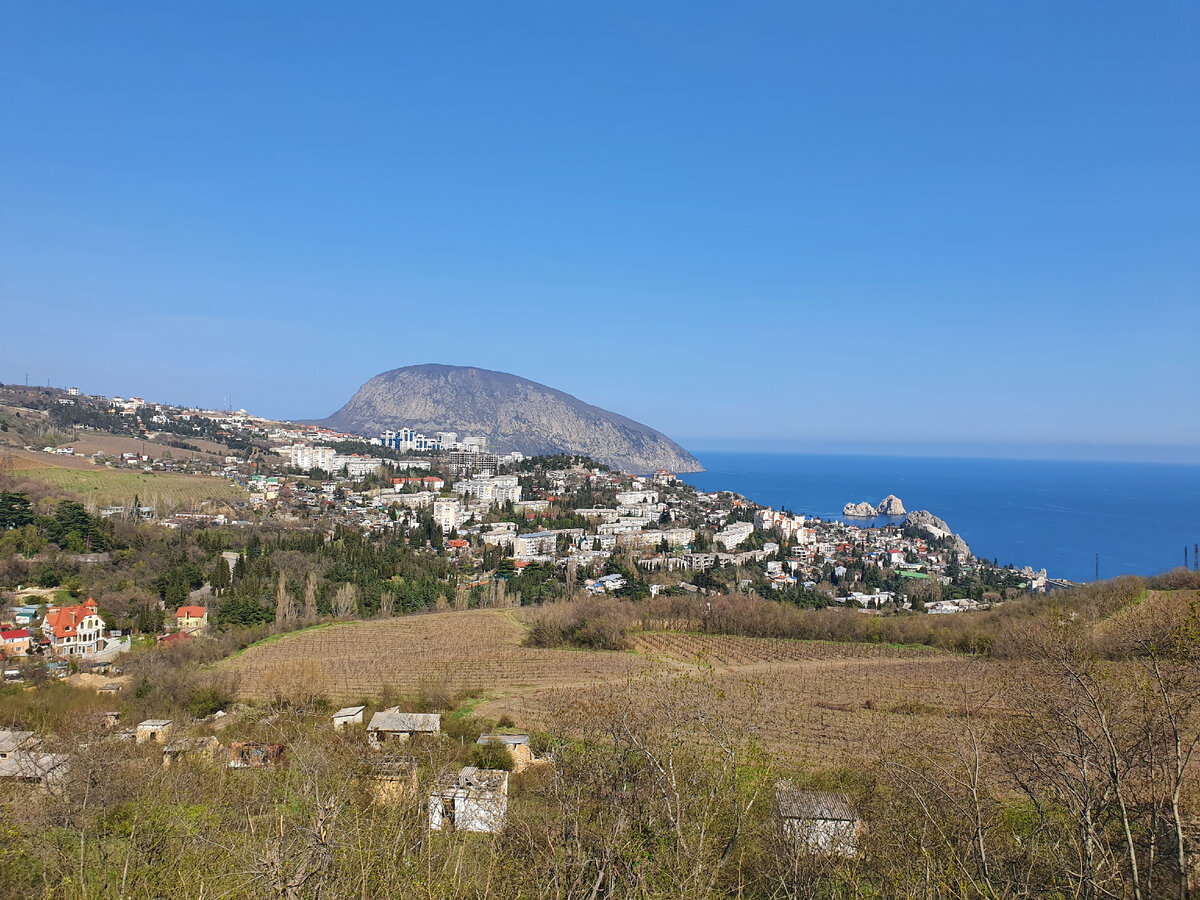 Крым Гурзуф