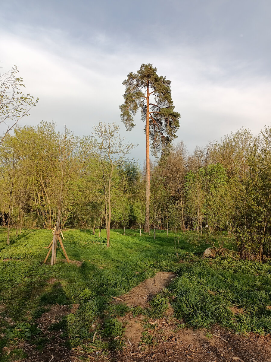 Фото автора. Москва. Кузьминки.