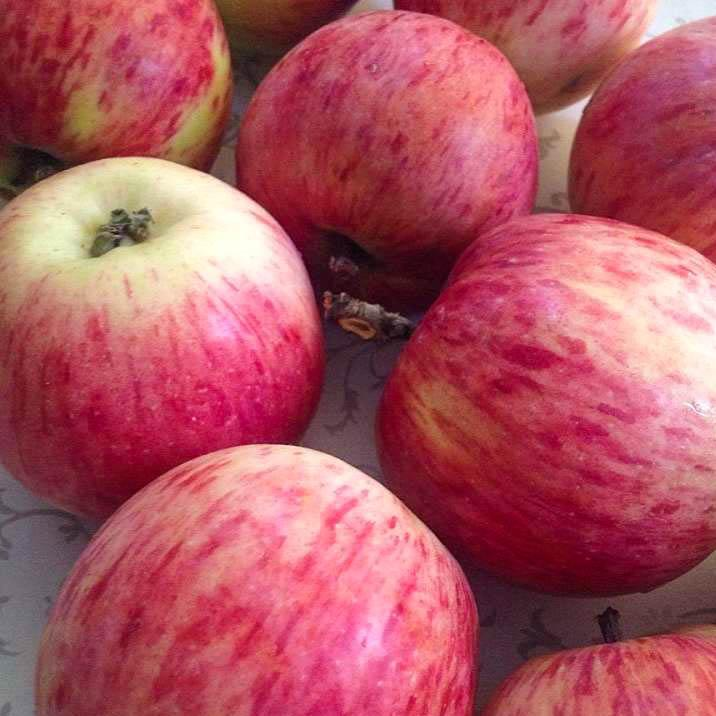 Вот она красавица