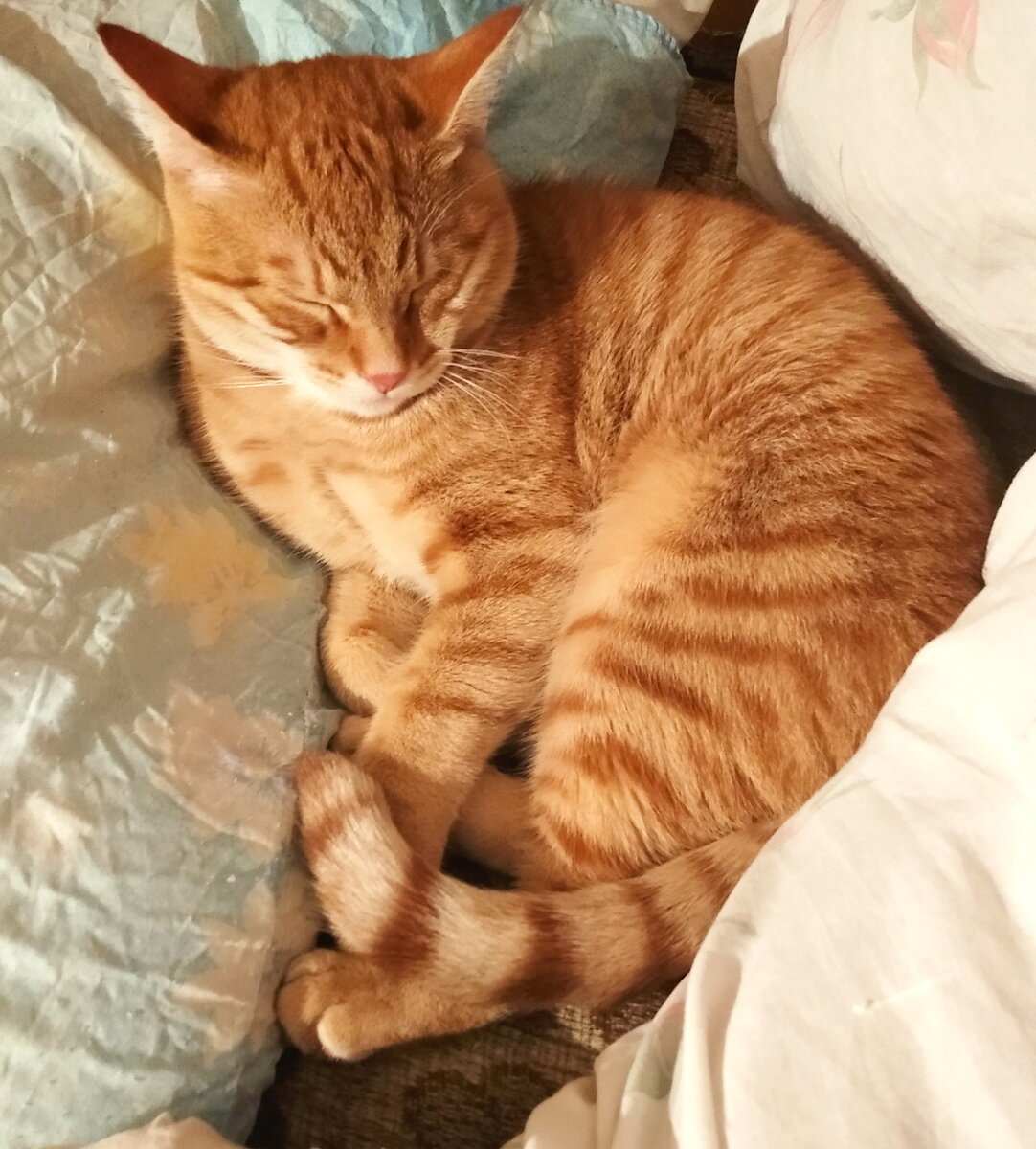 Личное фото