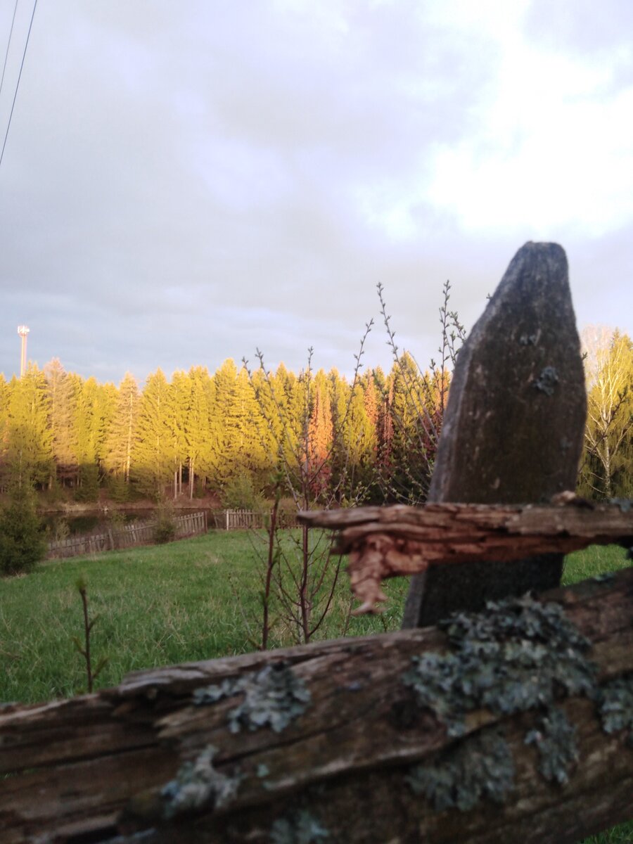 Фотография из личного архива автора