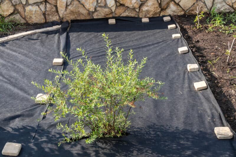 Основа аккуратного вида.