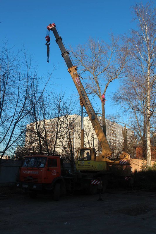 Спил дерева с автокраном