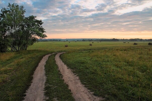 Источник: Яндекс-картинки. 