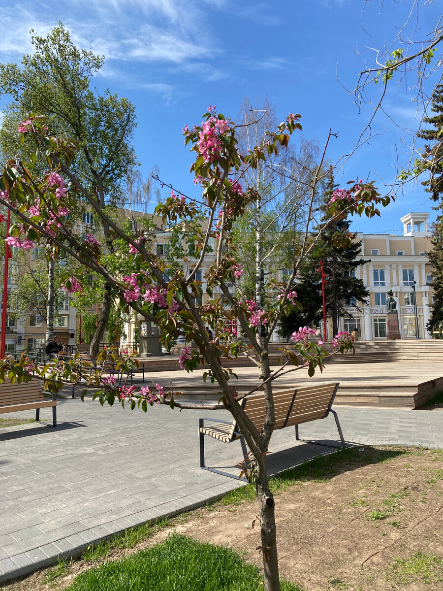 Фото автора. Второй день наслаждаюсь утренним городом 