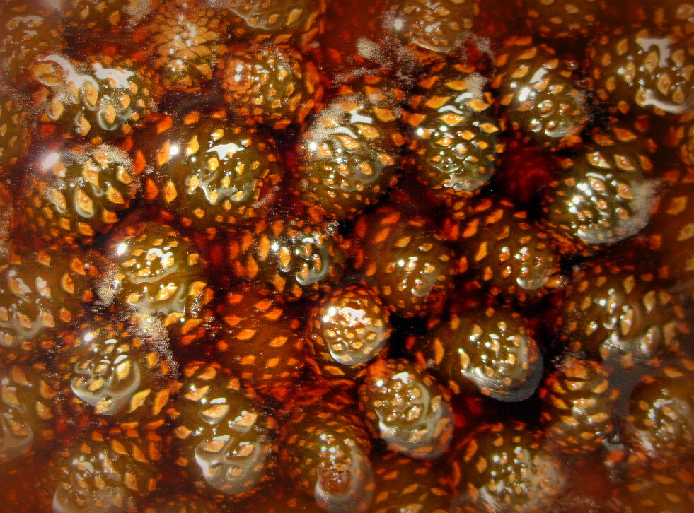 Готовое варенье.