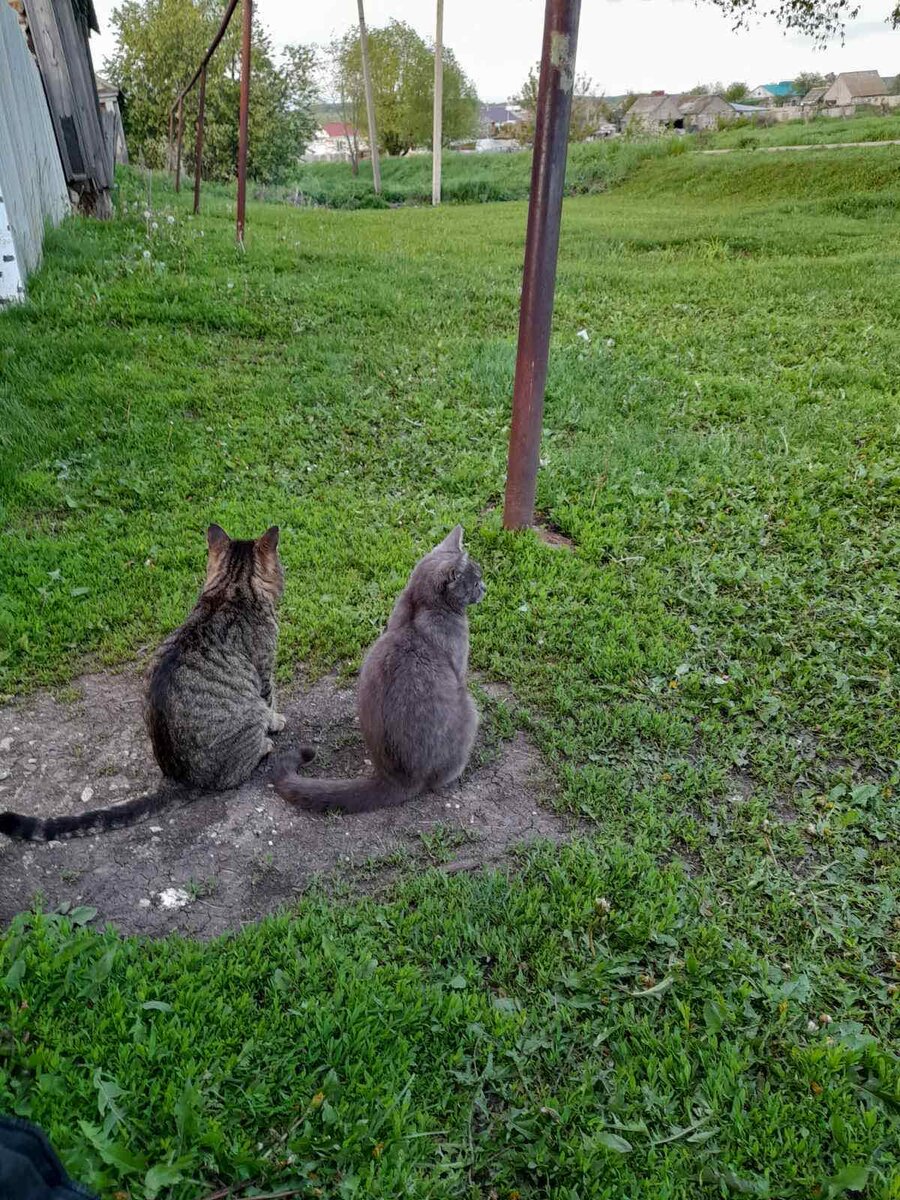 Кеша и Муля Фото Светланы Александровой