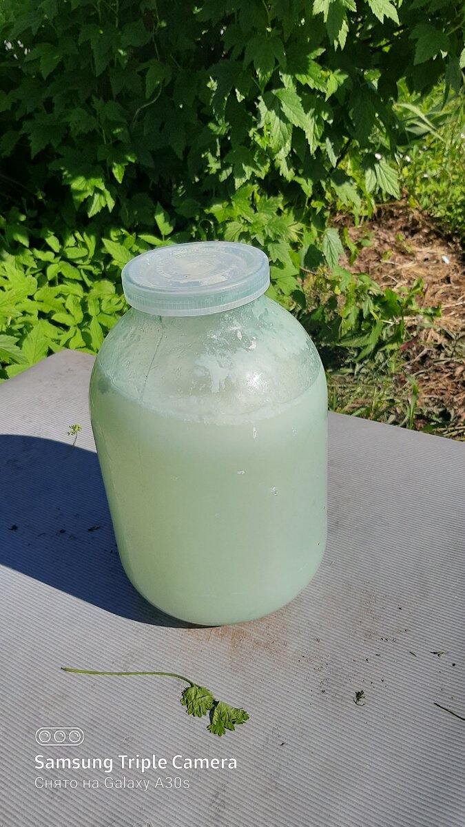 Фото автора.