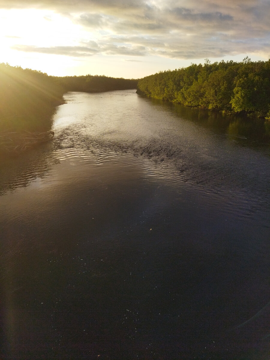 Здесь рыба идёт на нерест. Местная речка, которая впадает в Татарский пролив