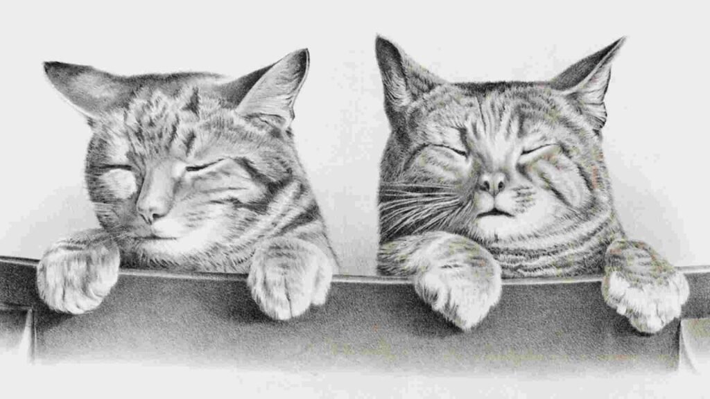 У вас есть фамильяр? Вы когда-нибудь чувствовали сильную связь с животным или вам постоянно снится одно и то же животное? Может быть, у вас уже есть фамильяр, но все еще нужно время, чтобы распознать связь.