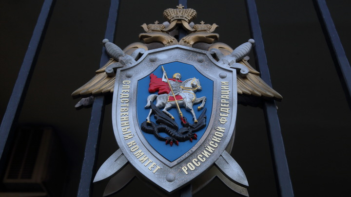 ФОТО: ZAMIR USMANOV/GLOBALLOOKPRESS