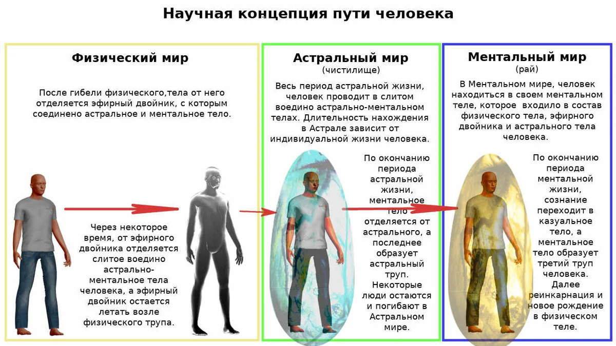 Условием развития человека помимо реальности самой. Астральное тело человека астральное тело человека. Астральное и физическое тело. Физическое тело астральное тело. Физическое тело и ментальное.