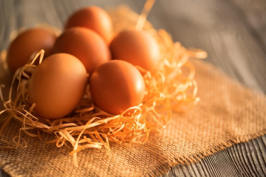 Несушки сколько яиц в день. Инкубационное яйцо несушки. Продукты яйца куры. Описание яйца.