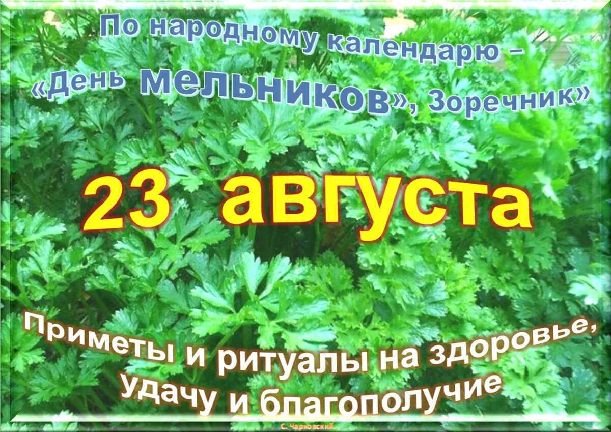 Встречаем новый день